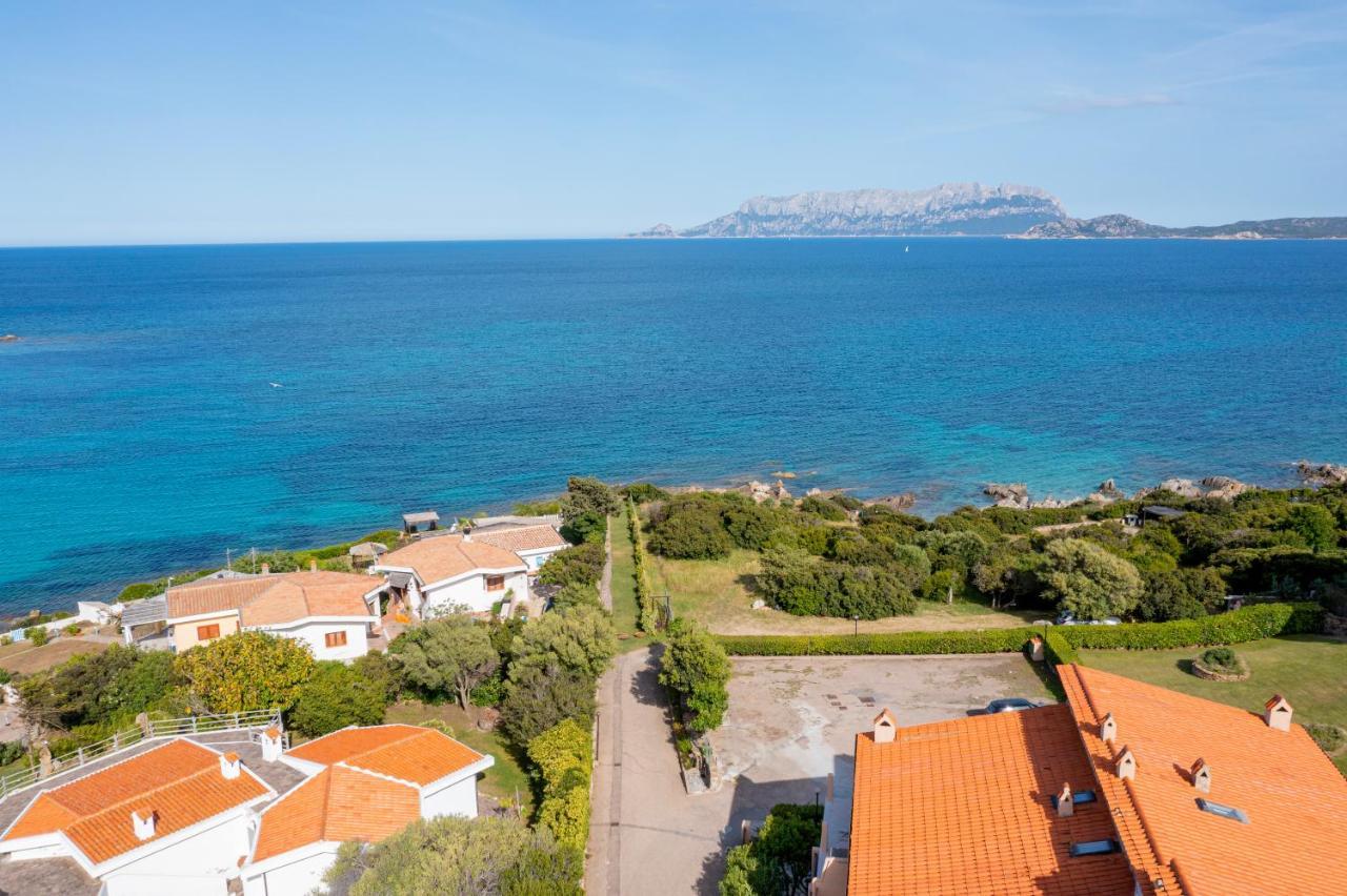 Casa Athena Villa Pittulongu Exteriör bild